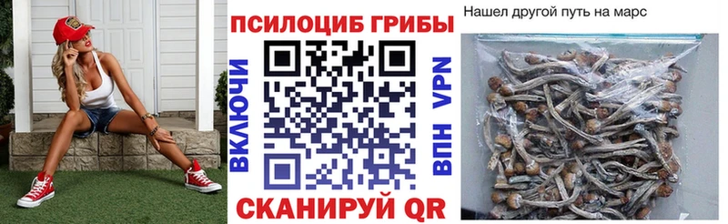 Псилоцибиновые грибы Psilocybe Порхов